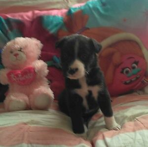 Meet your Posher, Kentaro